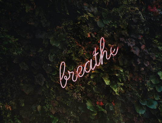 How to Meditate