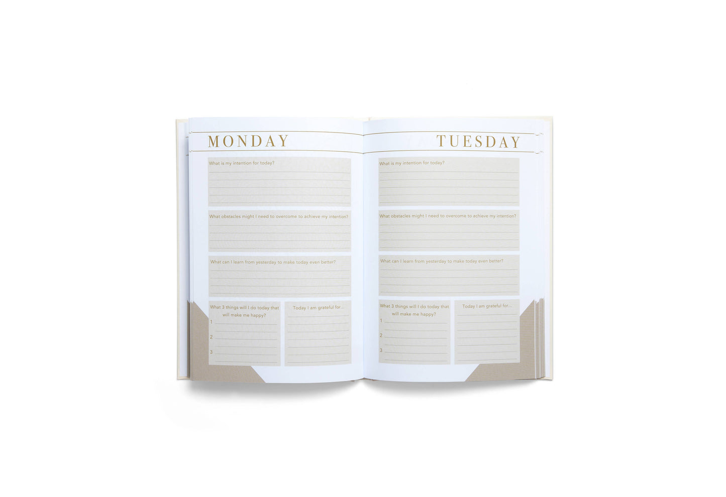 Morning Notes: Wellbeing Journal | Valentine's Gift