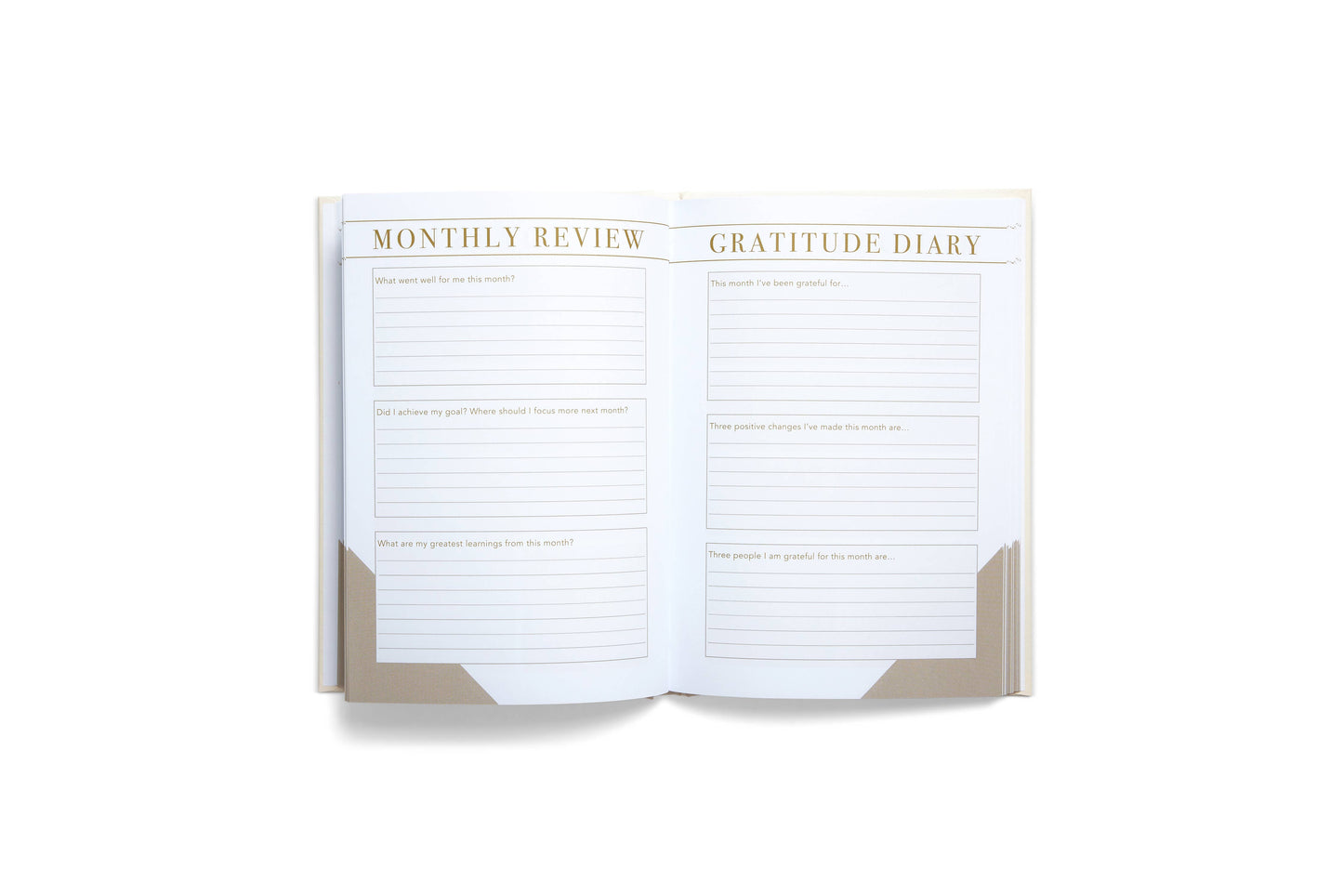 Morning Notes: Wellbeing Journal | Valentine's Gift