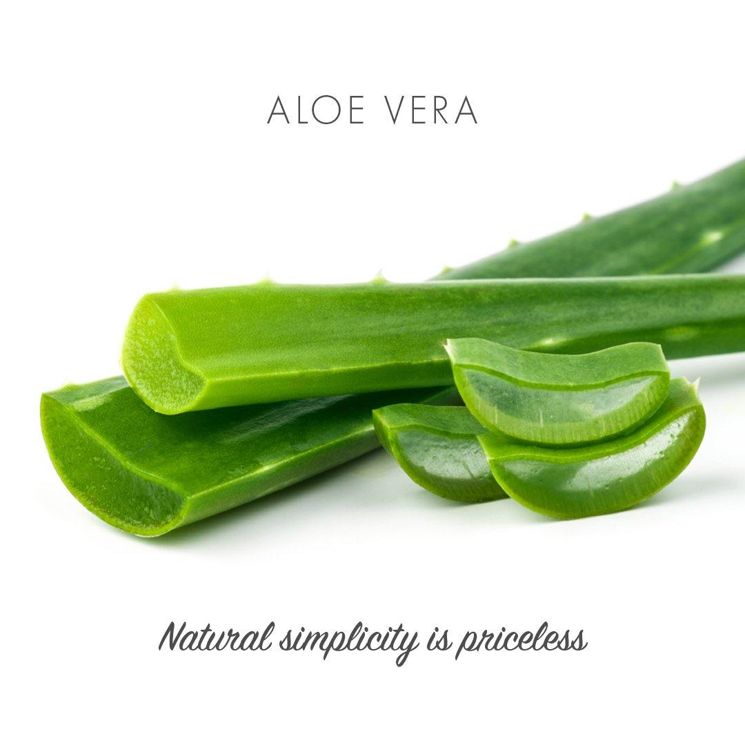 Aloe Vera Natural Soap - La Défense - Niche Beauty and Wellness